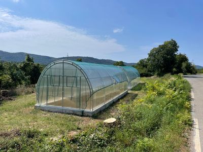 TOP Rastlinjaki širine 4 m