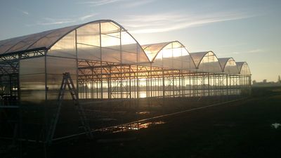 NOVO 2026 – Veliki projekti in profesionalni rastlinjaki