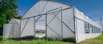 NOVO 2026 - PREMIUM FOLIJSKI RASTLINJAKI
