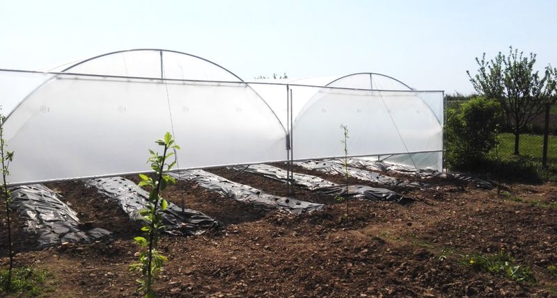 TOP Rastlinjak - TOP PROFI JAGODA - za profesionalne proizvajalce jagod - 2 Tunela 4,7 x 20 m