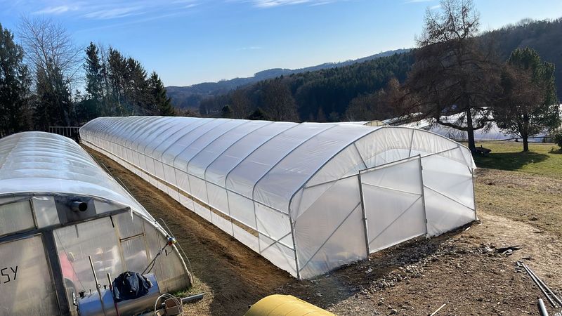 Profi rastlinjak širine 8 m – dolžina do 60 m po želji – EU proizvodnja + VSE OJAČITVE