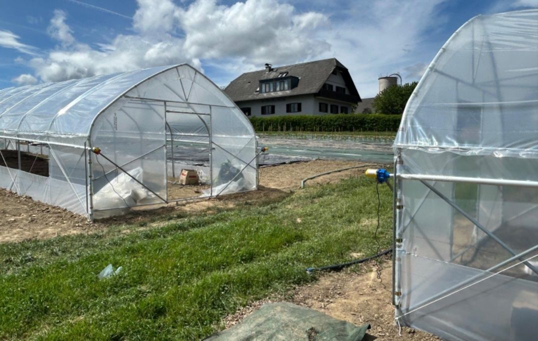 Rastlinjak PROFI širine 4 m, višina stranic 1,8 m – Idealen za hobi in profesionalne vrtnarje