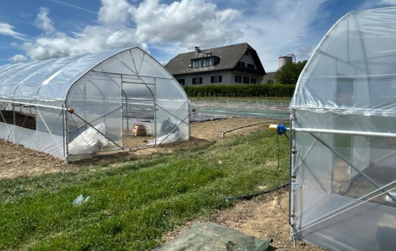 Rastlinjak PROFI širine 4 m, višina stranic 1,8 m – Idealen za hobi in profesionalne vrtnarje
