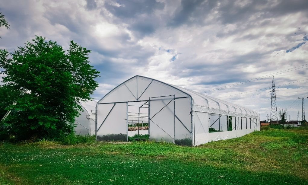 PREMIUM Folijski rastlinjak ARX 60 – širina 6 m