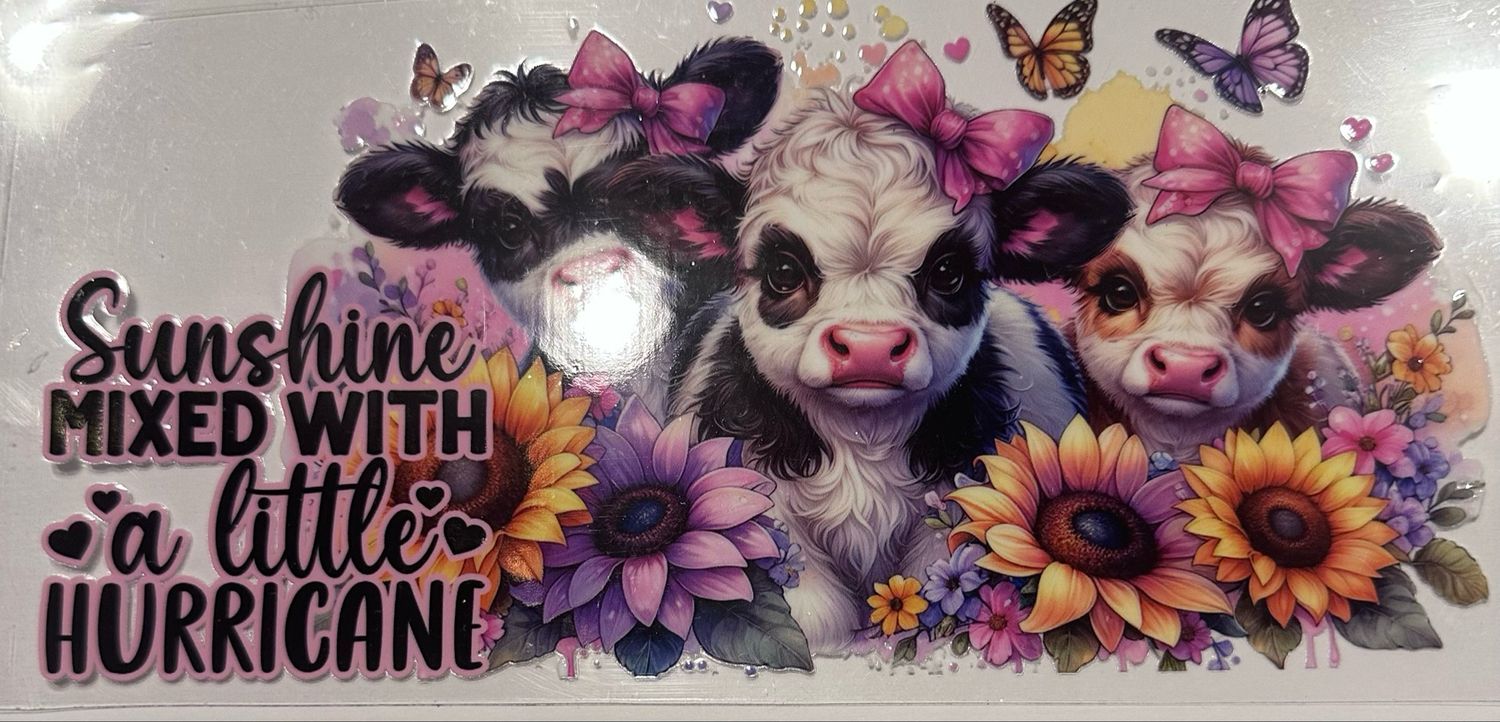 Cow Sunflower