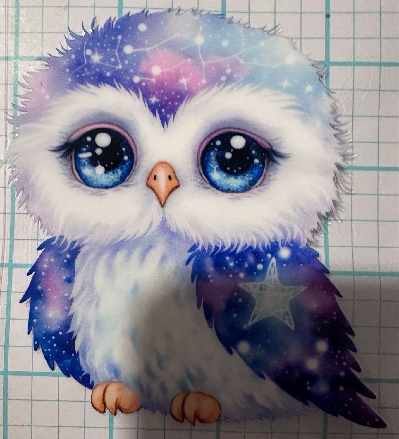 Owl