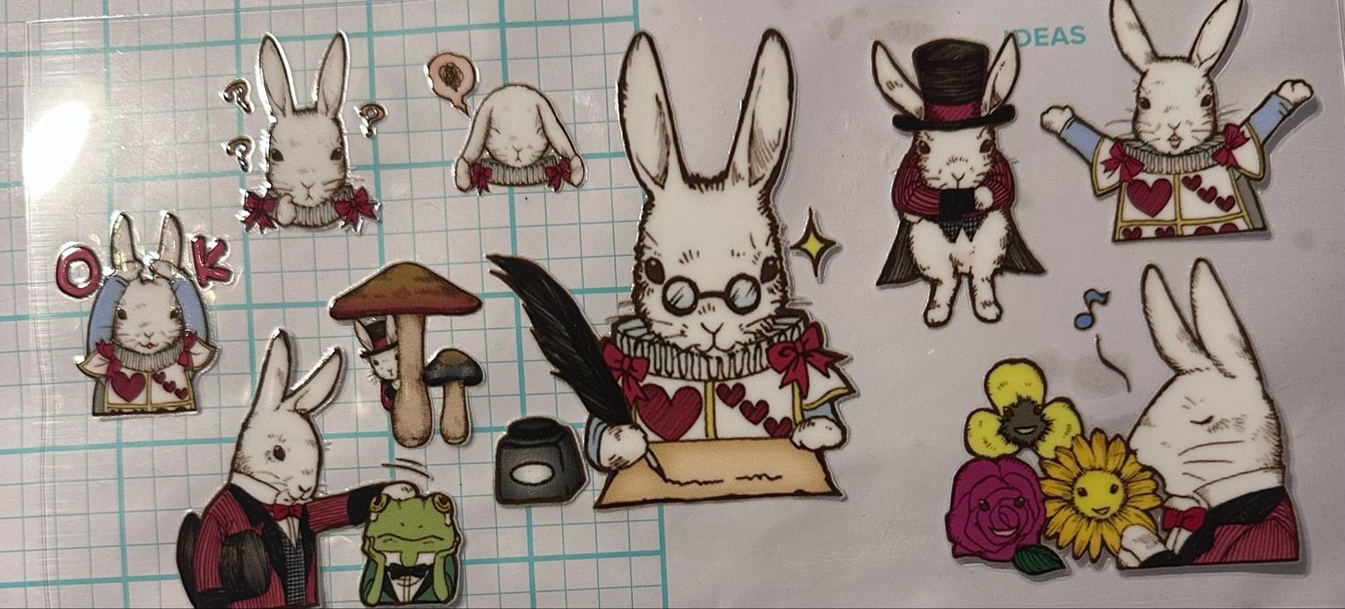 Rabbit