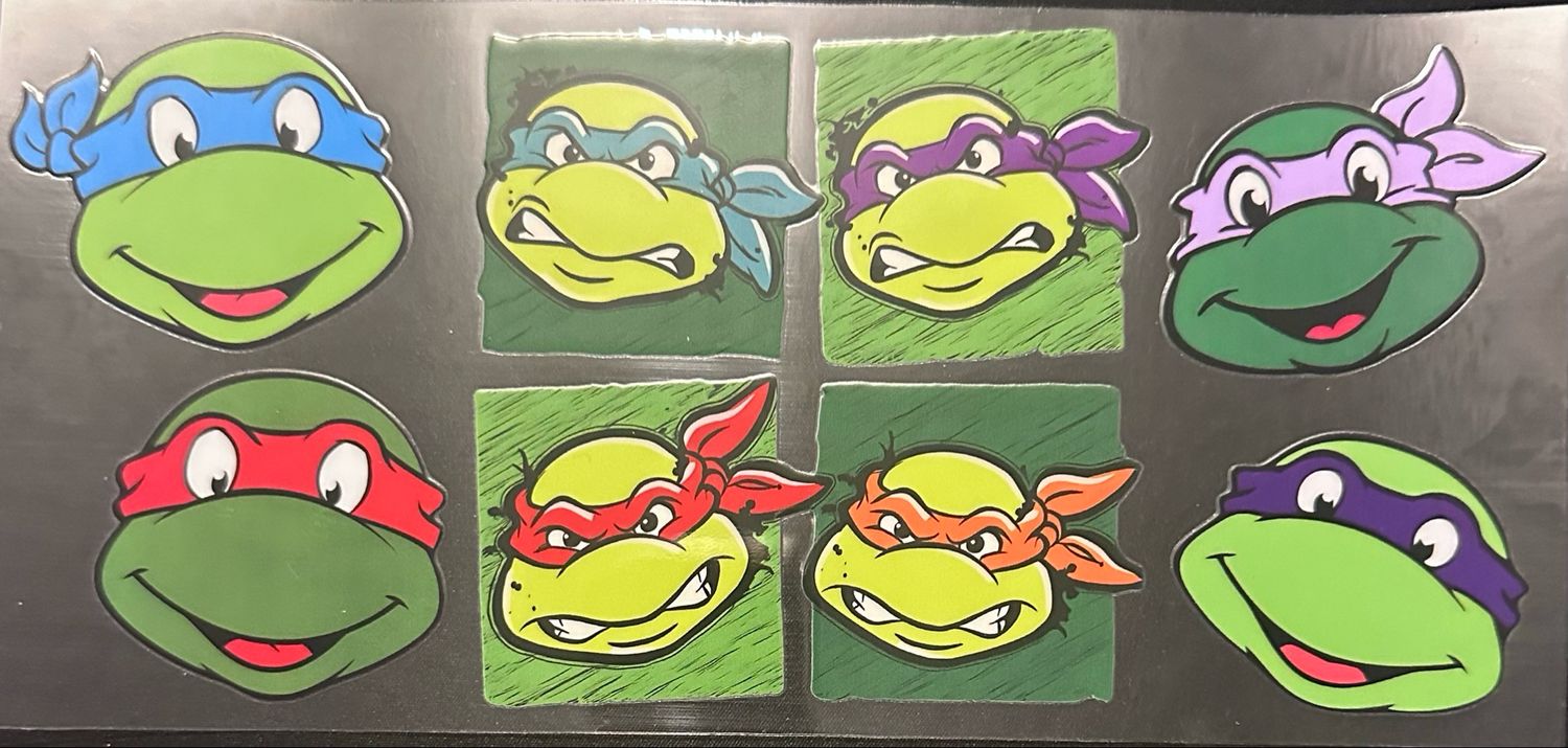 Ninja Turtle