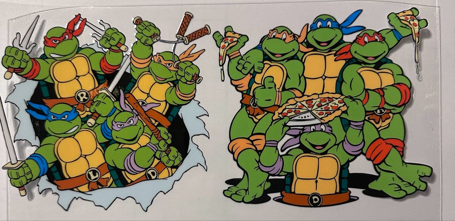Teenager  Ninja Turtle