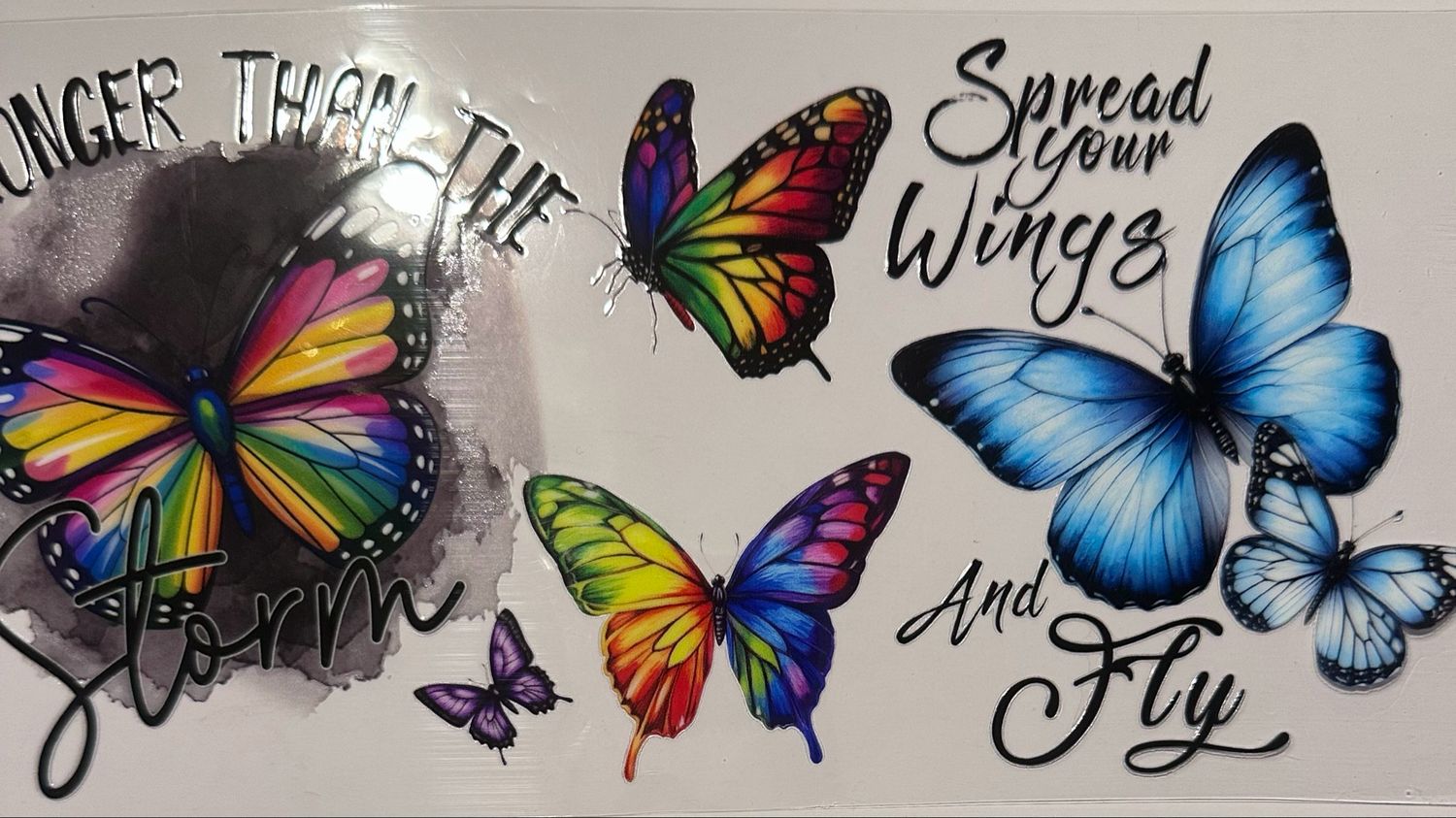 Spread Your Wings And Fly