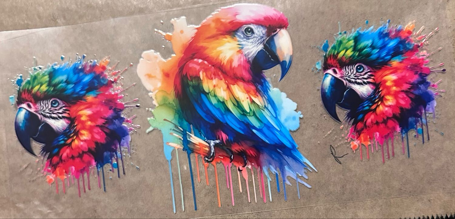 Parrot