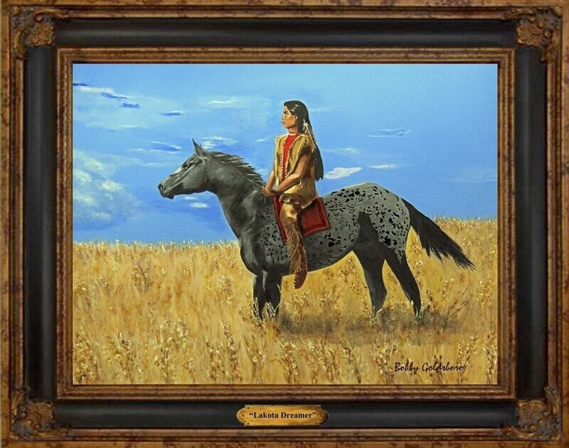 Lakota Dreamer*