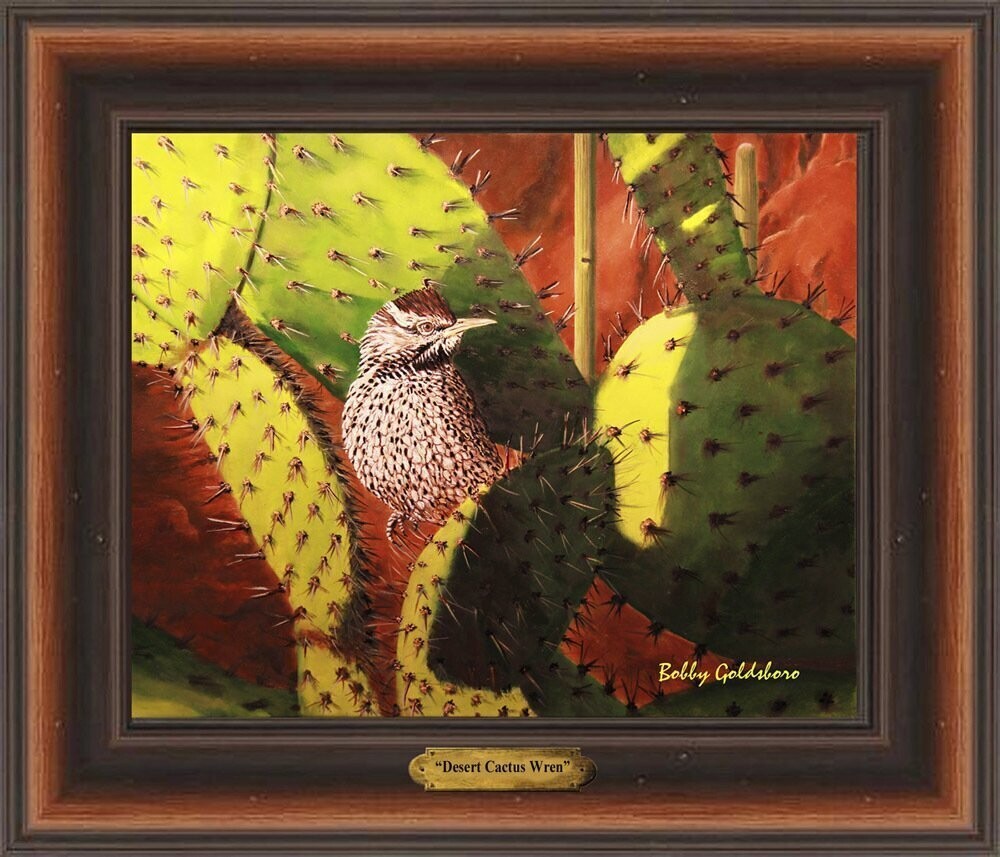 Desert Cactus Wren*