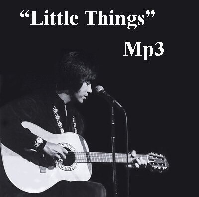 "Little Things" MP3 Download