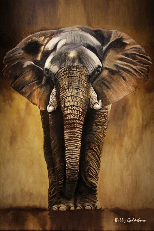 "Out of Africa" Canvas Print