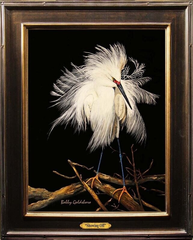 "Showing Off" Canvas Print