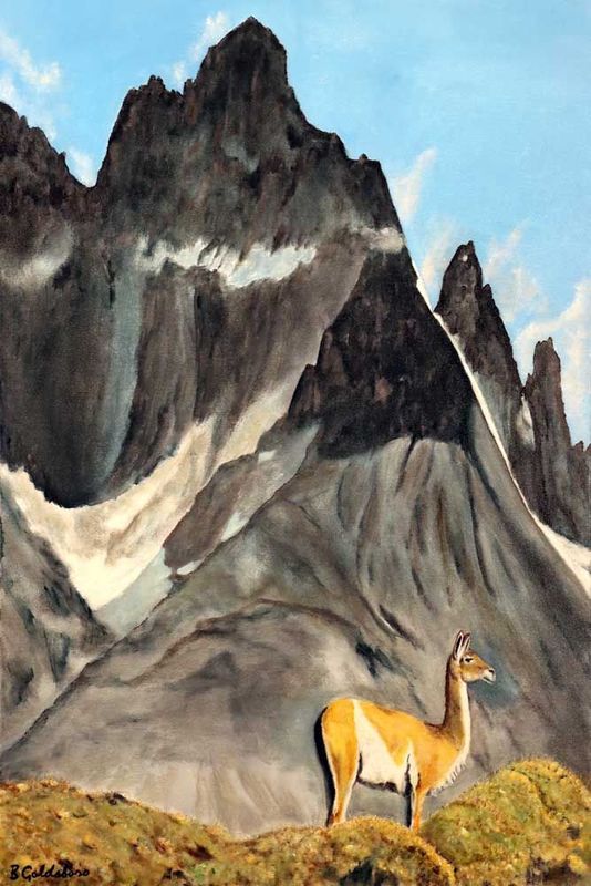 Andes Odyssey