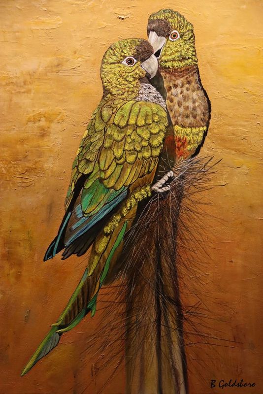 Patagonian Parrots