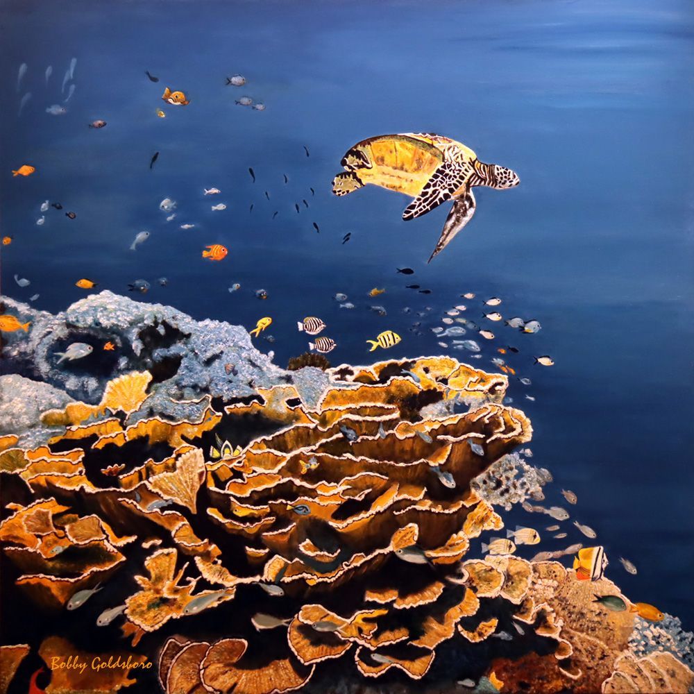 "Loggerhead Reef"
