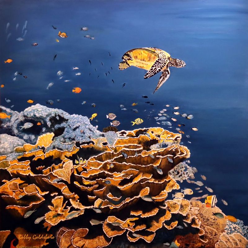 "Loggerhead Reef"