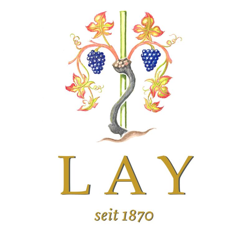 2023er Syrah Reserve Brenner trocken (89 Punkte bei Eichelmann) limitiert