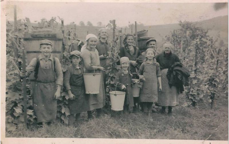 2020 Petillant naturel Chardonnay trocken limitiert auf 101 Flaschen 2020 Petillant naturel Chardonnay trocken limitiert auf 101 Flaschen