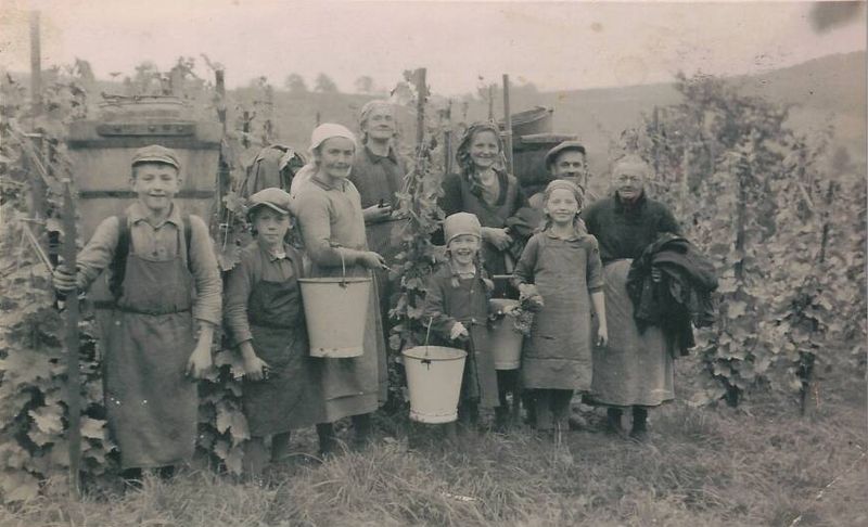 2024 Petillant naturel Rose trocken limitiert