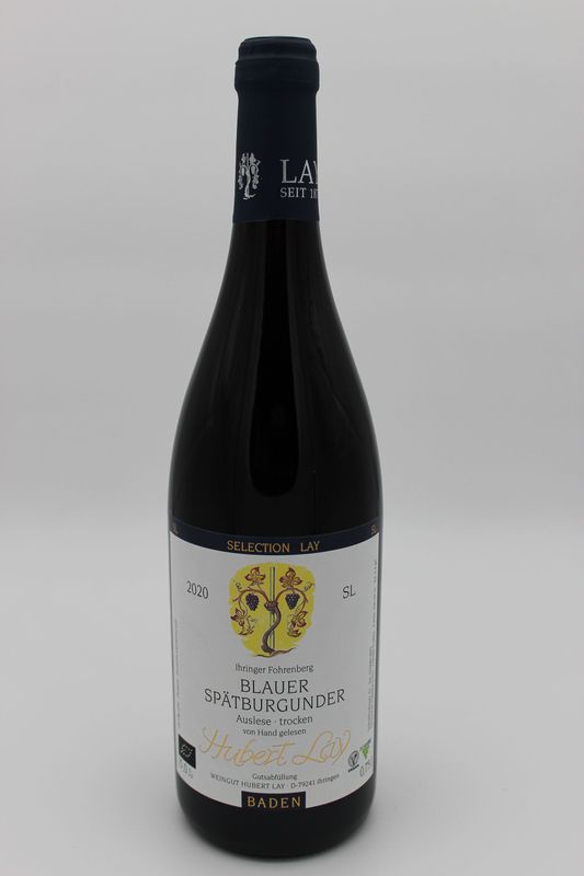 2020er Blauer Spätburgunder SL Auslese trocken (84 Punkte bei Eichelmann) 2020er Blauer Spätburgunder SL Auslese trocken (84 Punkte bei Eichelmann)