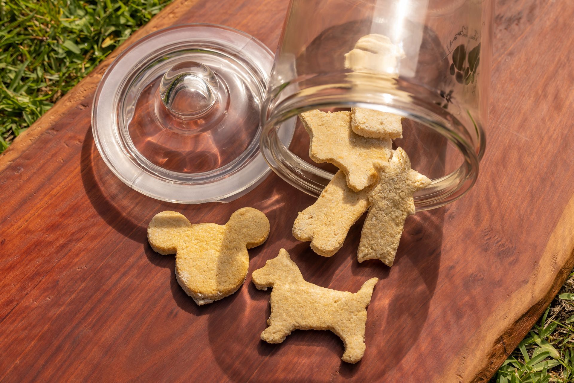 Cauliflower & Parmesan