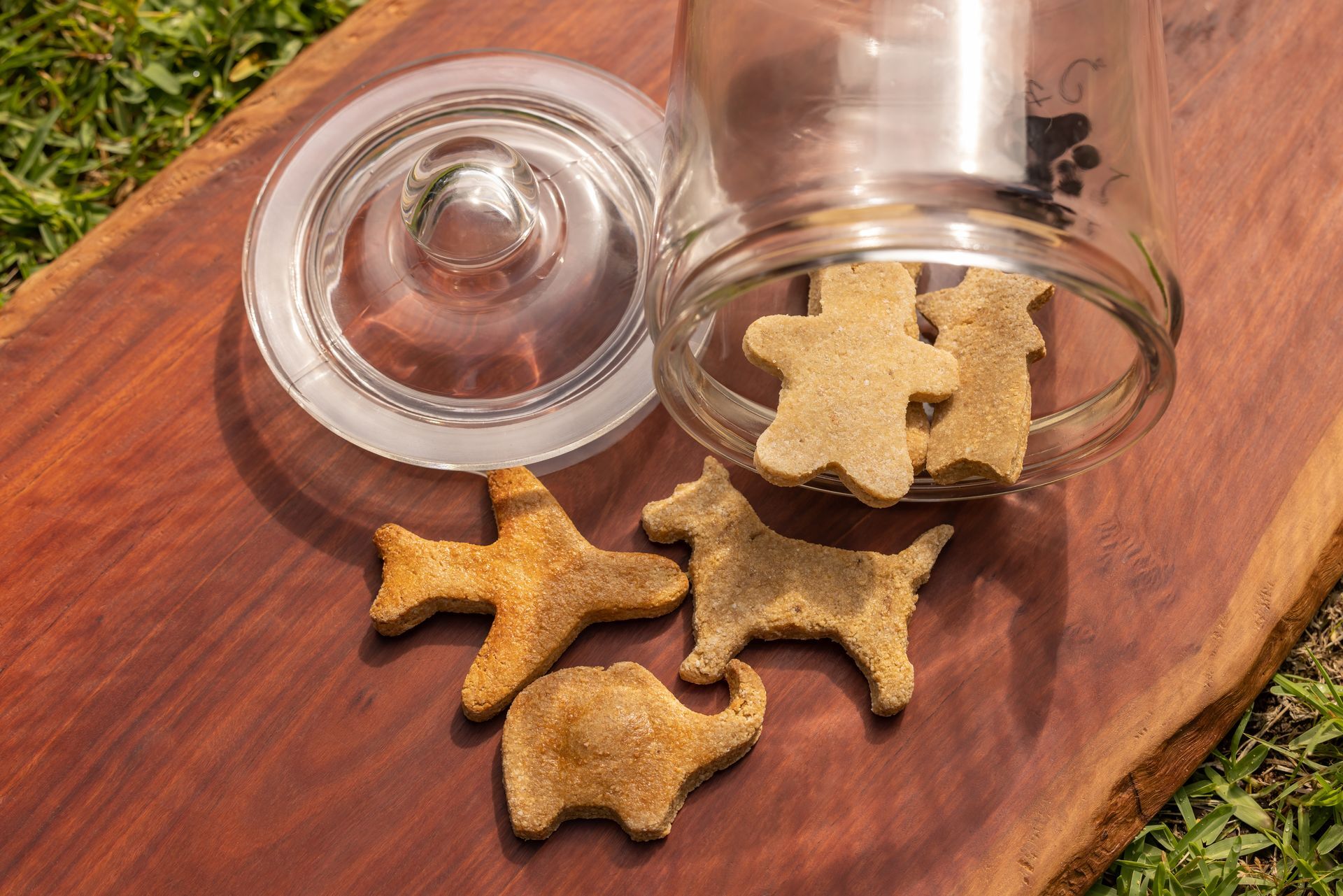 Banana & Peanut Butter