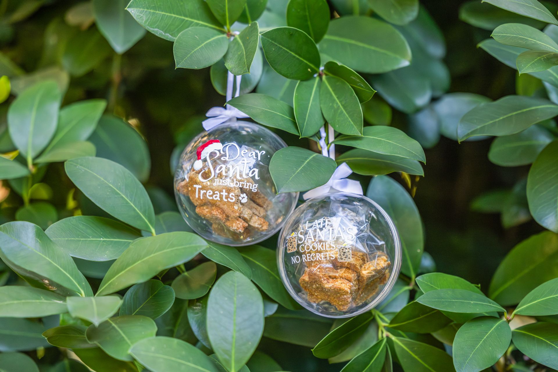 Christmas Dog Treat Bauble - Limited Edition