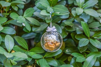 Christmas Dog Treat Bauble - Limited Edition