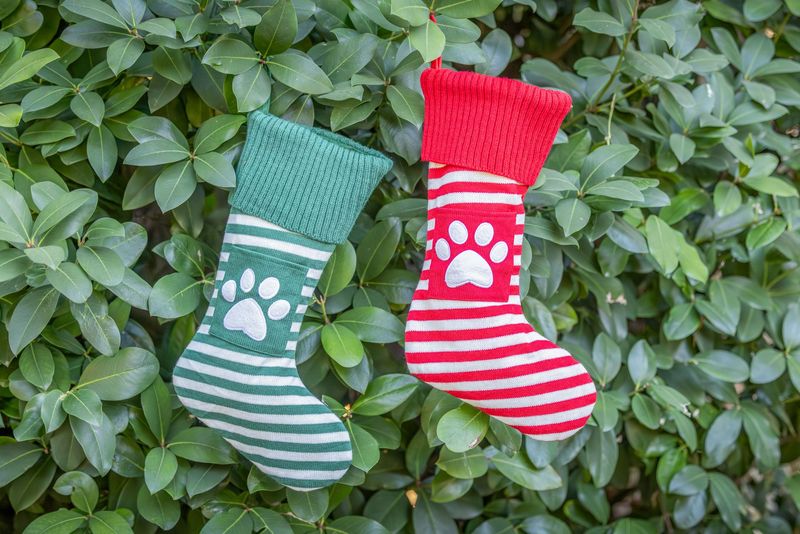 Festive Dog Christmas Stocking – Treats for Your Furry Friend