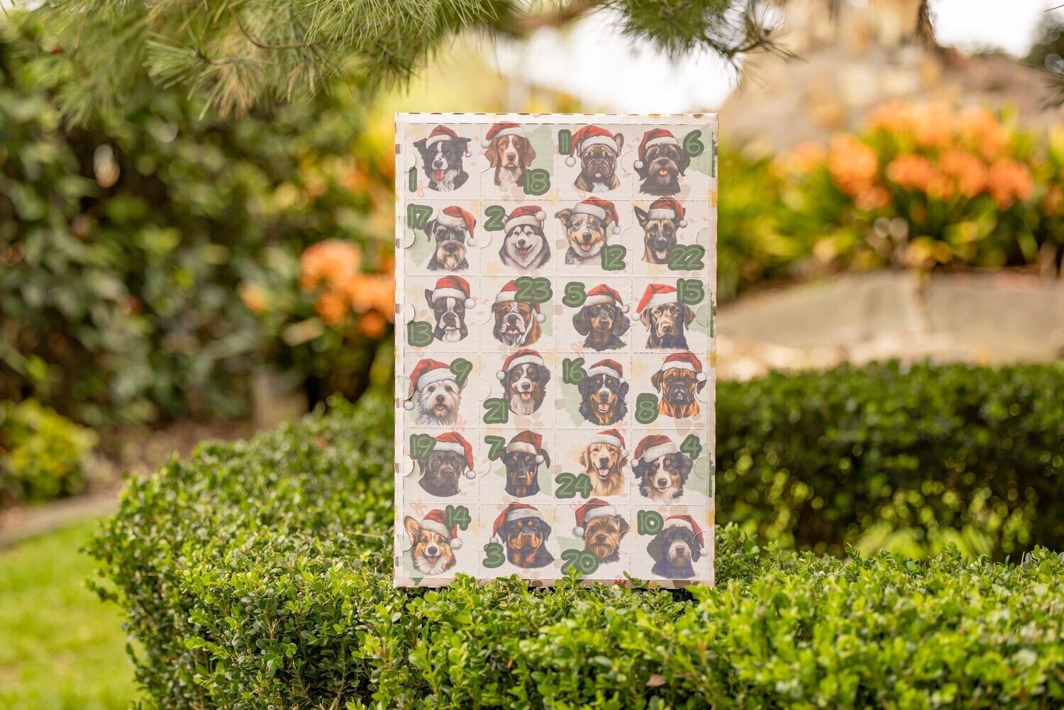 Countdown to Santa Paws Advent Calendar