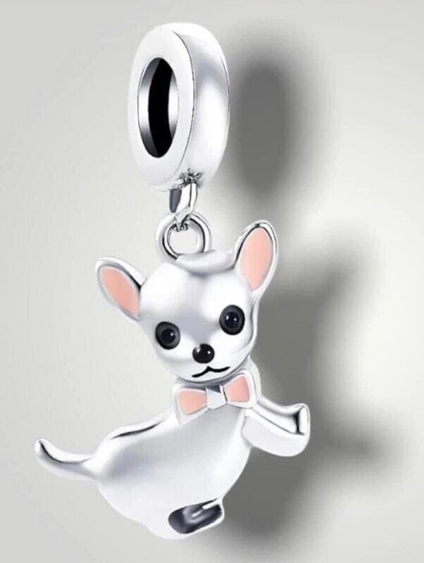 Chihuahua 2