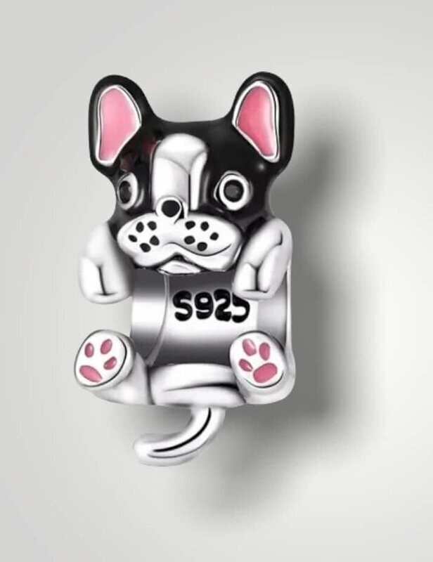 Franse bulldog