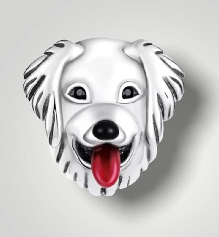Labrador