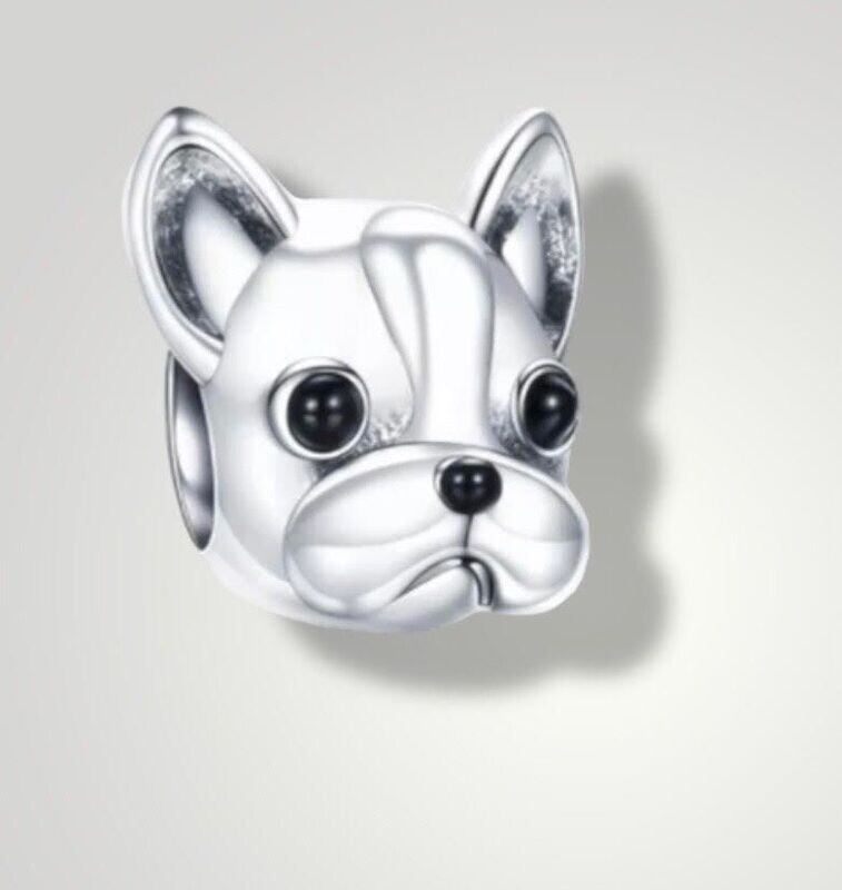 Franse Bulldog