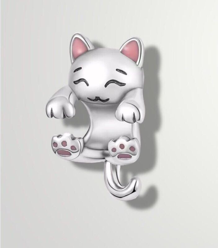 Kitten