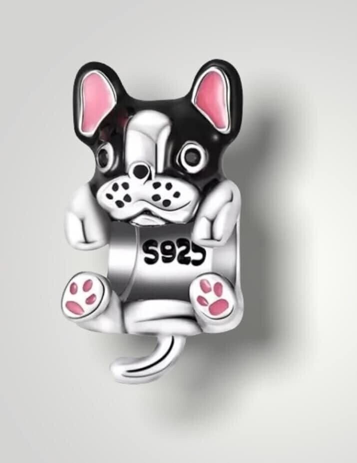 Franse bulldog