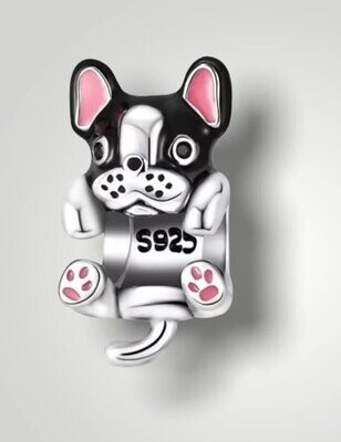 Franse bulldog