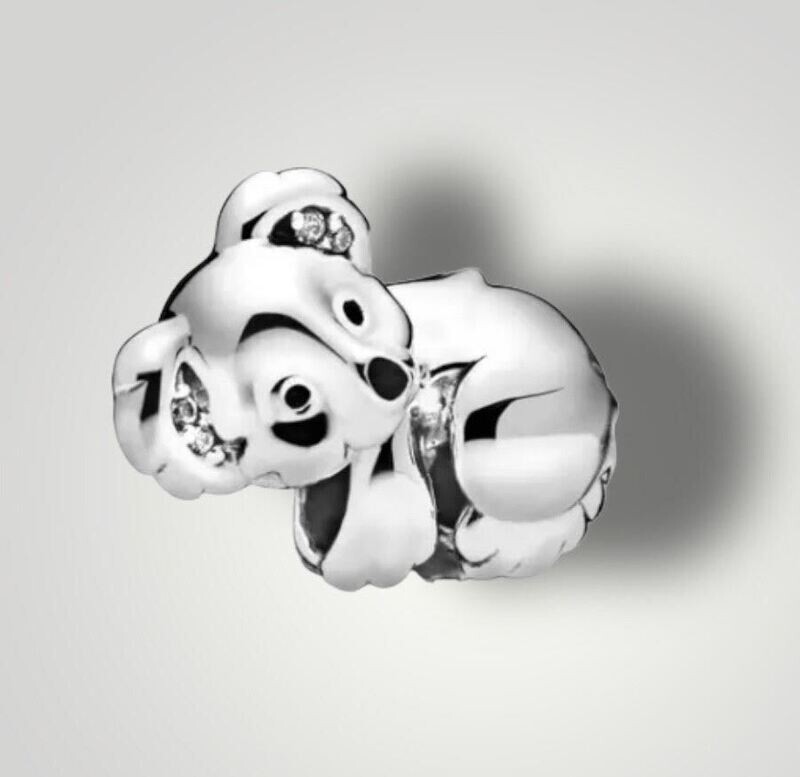 Koala Koala