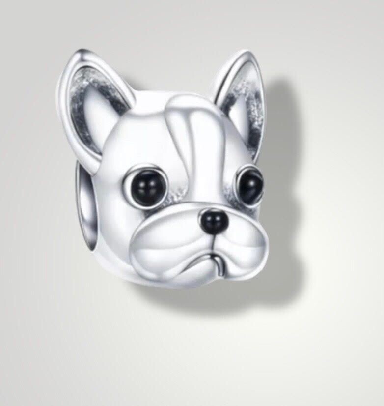 Franse Bulldog