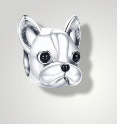 Franse Bulldog