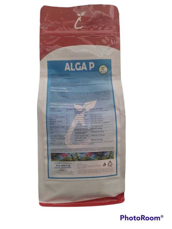 ALGA P - CAPRARA SRL KG 1