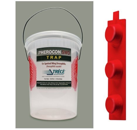 PHEROCON SWD - Drosophila suzukii
