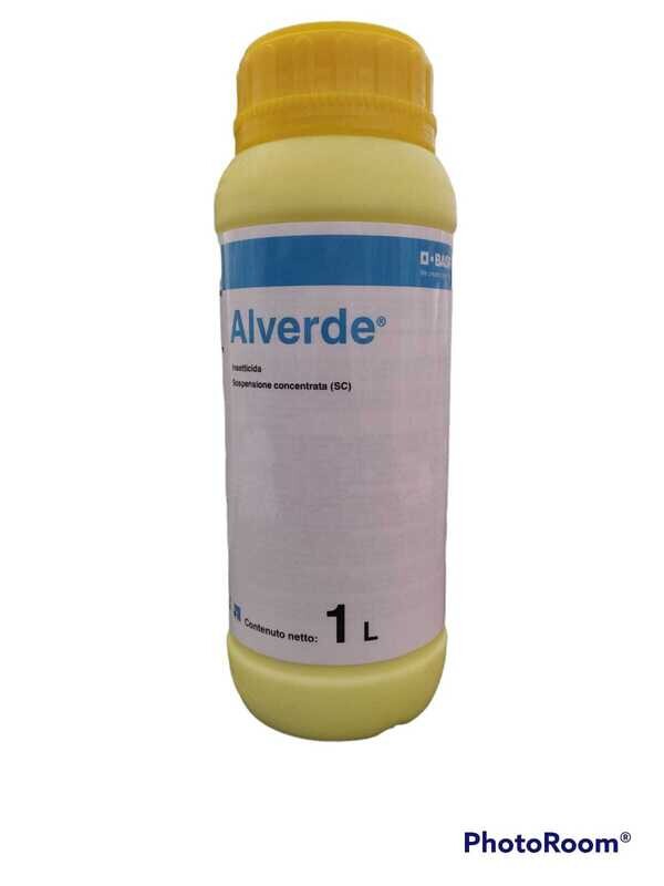 ALVERDE - BASF LT 1