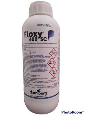 FLOXY 400 SC - CHIMIBERG LT 1
