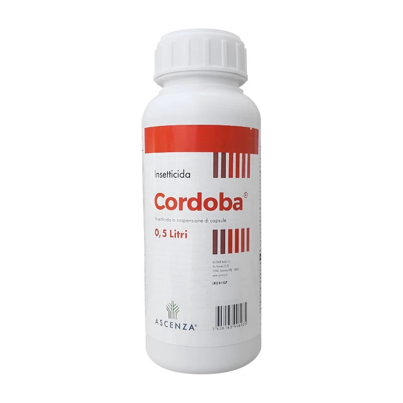 CORDOBA ML 500