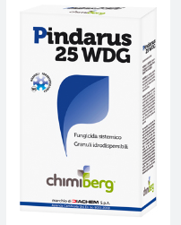 PINDARUS 25 WDG G 500
